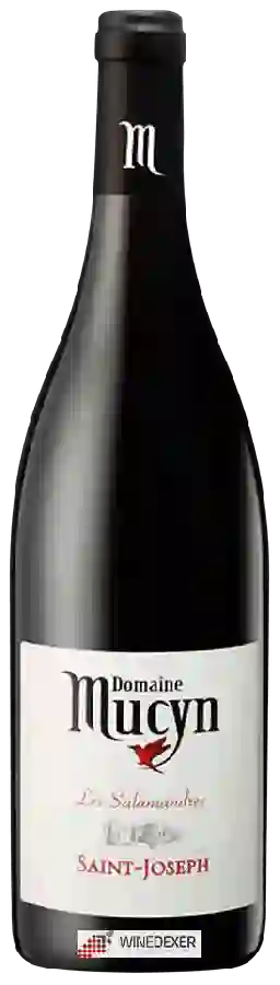 Domaine Mucyn - Saint-Joseph Les Salamandres