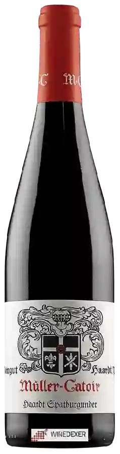 Winery Müller-Catoir - Haardt Spätburgunder Winery Müller-Catoir - Haardt Spätburgunder
