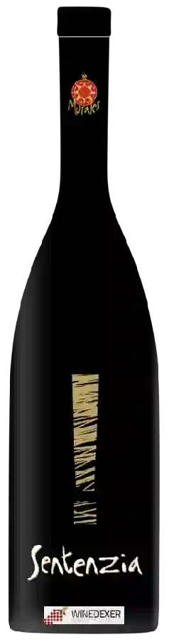 Winery Murales - Sentenzia Winery Murales - Sentenzia