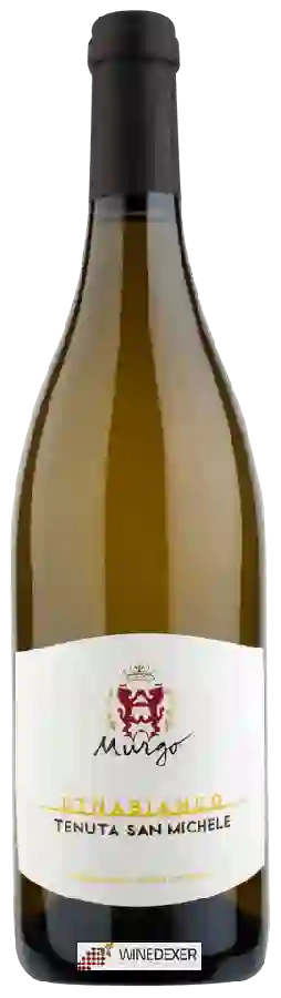 Winery Murgo - Tenuta San Michele Etna Bianco Winery Murgo - Tenuta San Michele Etna Bianco