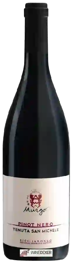 Winery Murgo - Tenuta San Michele Pinot Nero