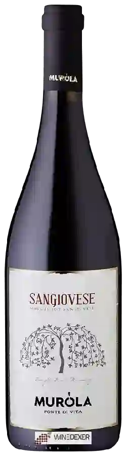 Winery Muròla - Sangiovese Winery Muròla - Sangiovese