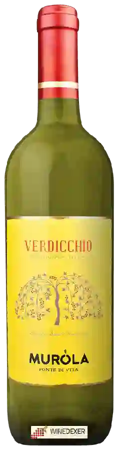 Winery Muròla - Verdicchio di Matelica Winery Muròla - Verdicchio di Matelica