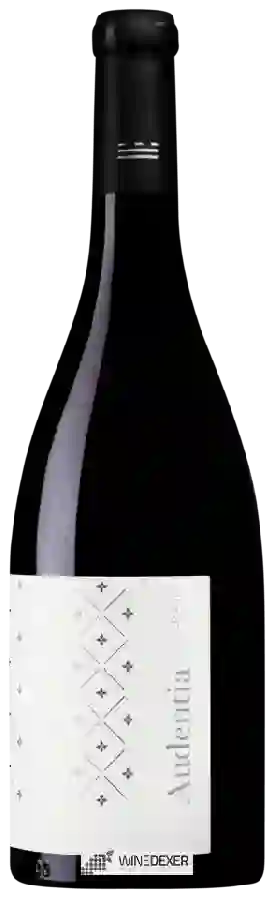 Winery Murviedro - Audentia Crianza Winery Murviedro - Audentia Crianza