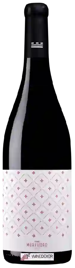 Winery Murviedro - Audentia Petit Verdot Winery Murviedro - Audentia Petit Verdot
