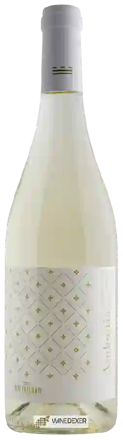 Winery Murviedro - Audentia Sauvignon Blanc - Muscat Winery Murviedro - Audentia Sauvignon Blanc - Muscat