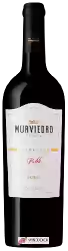 Winery Murviedro - Colección Bobal Roble