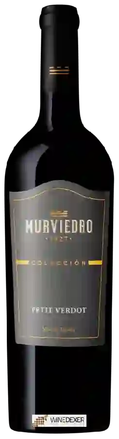 Winery Murviedro - Colección Petit Verdot