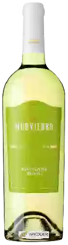 Winery Murviedro - Colección Sauvignon Blanc