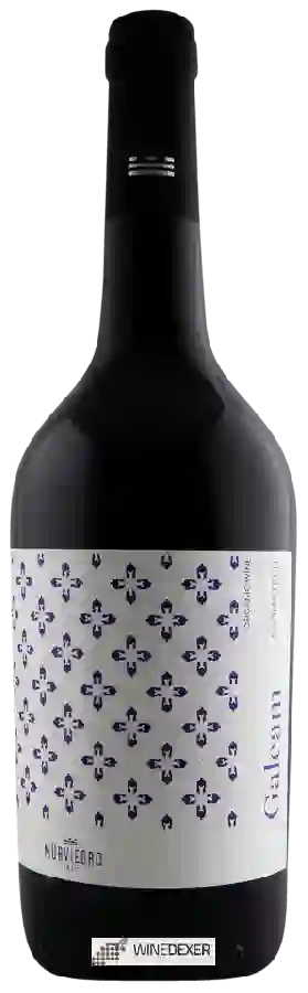 Winery Murviedro - Galeam Monastrell