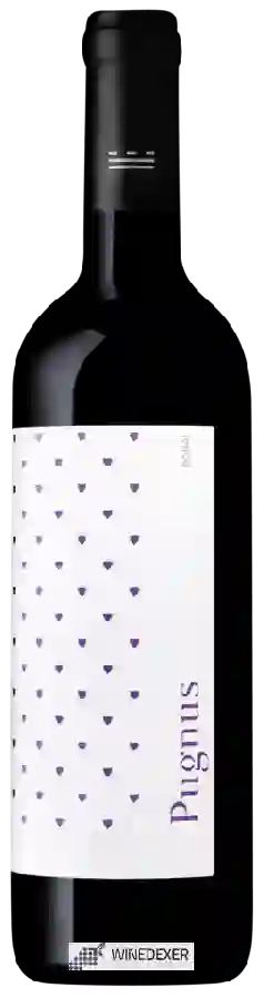 Winery Murviedro - Pugnus Bobal