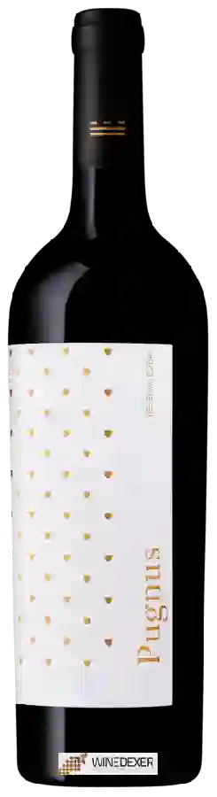 Winery Murviedro - Pugnus Reserva Bobal