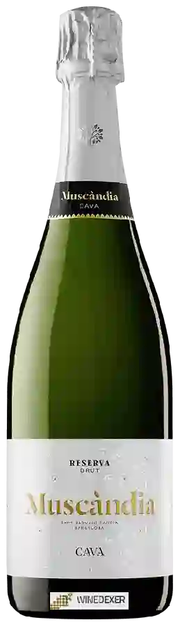 Winery Muscàndia - Cava Reserva Brut Winery Muscàndia - Cava Reserva Brut