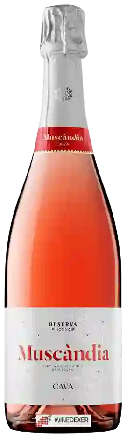 Winery Muscàndia - Cava Reserva Pinot Noir Winery Muscàndia - Cava Reserva Pinot Noir