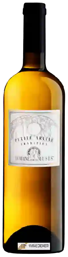 Domaine des Muses - Tradition Petite Arvine Domaine des Muses - Tradition Petite Arvine