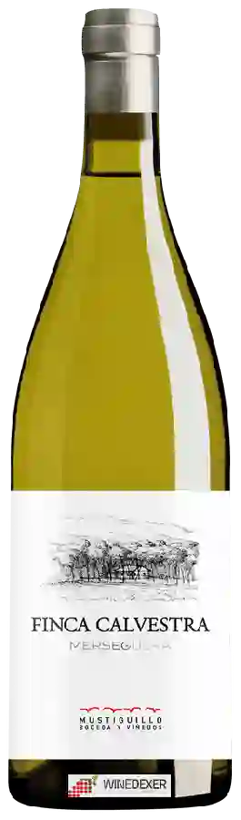 Winery Mustiguillo - Finca Calvestra Merseguera Winery Mustiguillo - Finca Calvestra Merseguera