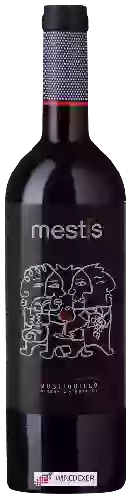 Winery Mustiguillo - Mestís
