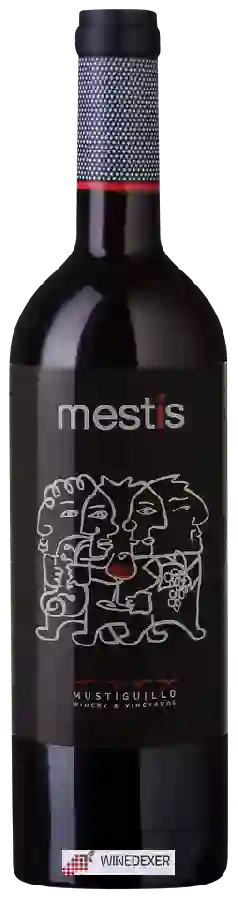 Winery Mustiguillo - Mestís