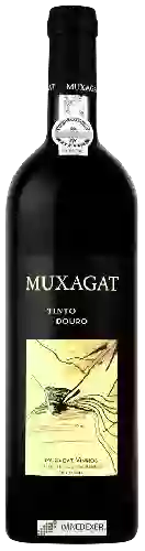 Winery Muxagat - Douro Tinto