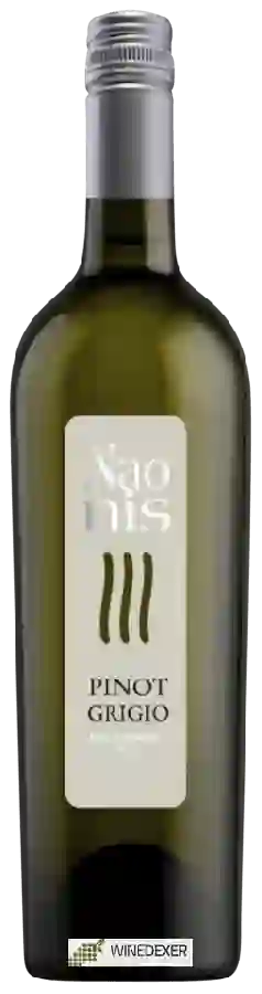 Winery Naonis - Pinot Grigio