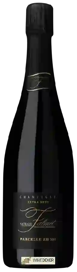 Winery Nathalie Falmet - Parcelle ZH 303 Extra Brut Champagne