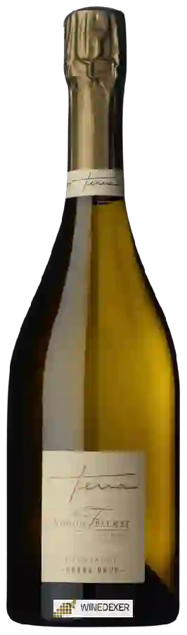 Winery Nathalie Falmet - Terra Extra Brut Champagne Winery Nathalie Falmet - Terra Extra Brut Champagne
