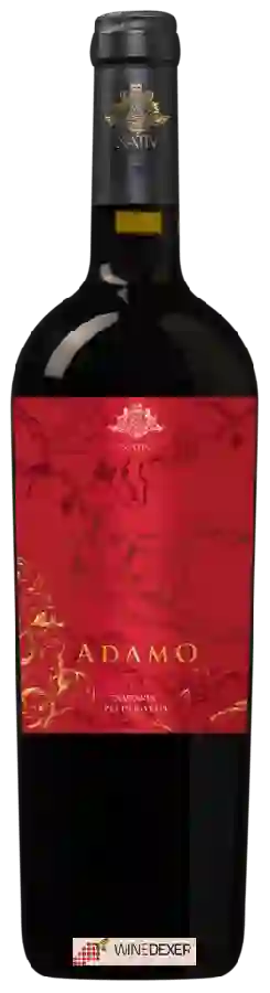 Winery Nativ - Adamo Piedirosso
