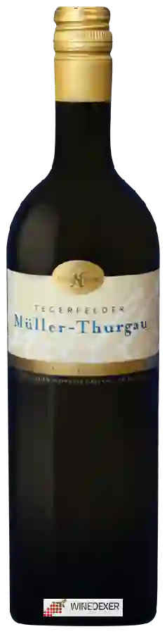 Winery Nauer Weine - Tegerfelder Müller-Thurgau