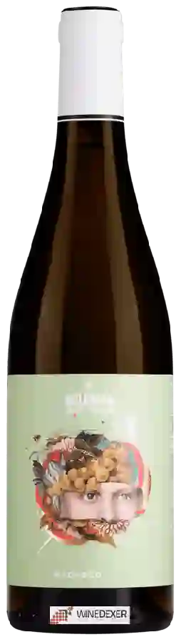 Winery Neleman - Macabeo