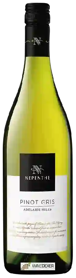 Winery Nepenthe - Pinot Gris Winery Nepenthe - Pinot Gris