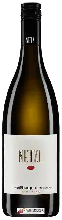 Winery Weingut Netzl - Weißburgunder Bärnreiser