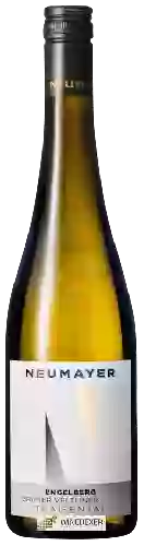 Winery Neumayer - Engelberg Grüner Veltliner