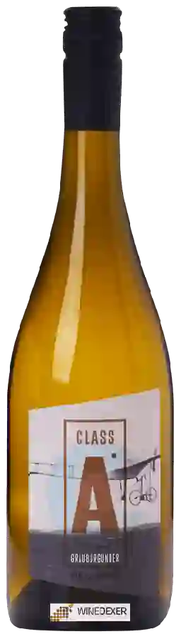 Winery Neverland - Class A Grauburgunder Winery Neverland - Class A Grauburgunder