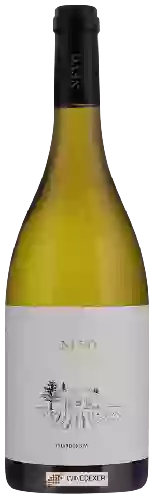 Winery Nevo - Chardonnay