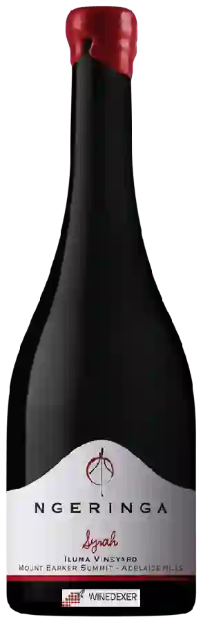 Winery Ngeringa - Iluma Vineyard Syrah Winery Ngeringa - Iluma Vineyard Syrah