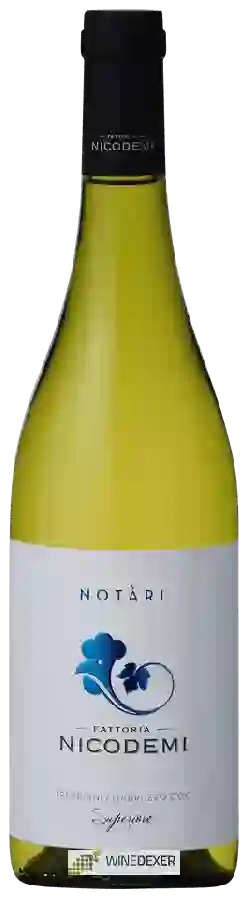 Winery Nicodemi - Notàri Trebbiano d'Abruzzo Superiore