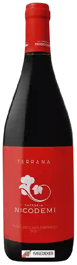 Winery Nicodemi - Terrana Montepulciano d'Abruzzo Winery Nicodemi - Terrana Montepulciano d'Abruzzo