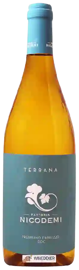 Winery Nicodemi - Terrana Trebbiano d'Abruzzo Winery Nicodemi - Terrana Trebbiano d'Abruzzo
