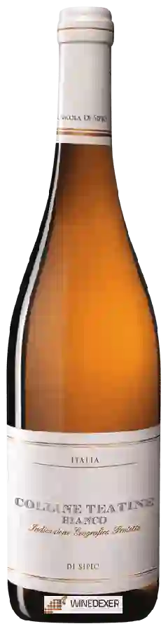 Winery Azienda Agricola Nicola di Sipio - Colline Teatine Bianco Winery Azienda Agricola Nicola di Sipio - Colline Teatine Bianco