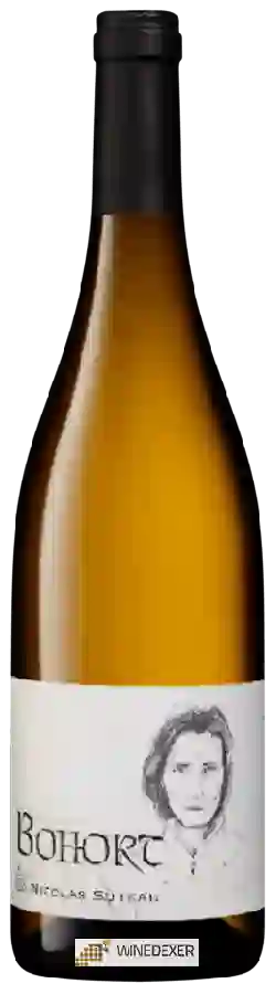Winery Nicolas Suteau - Bohort