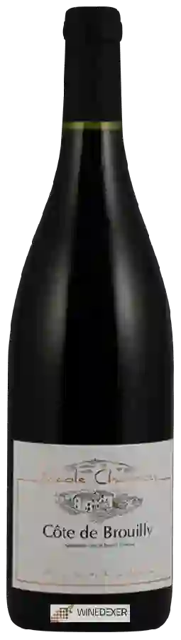 Winery Nicole Chanrion - Côte de Brouilly