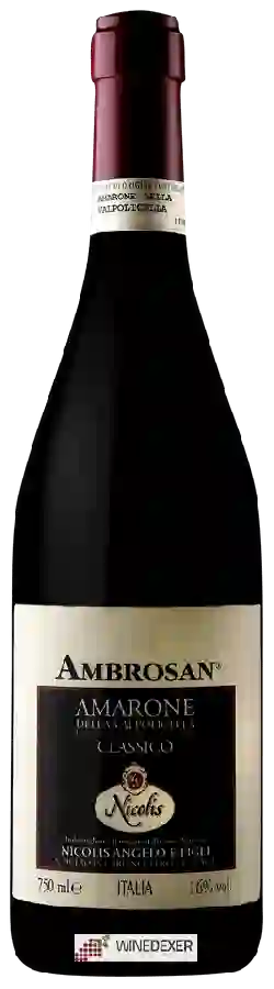Winery Nicolis - Ambrosan Amarone della Valpolicella Classico Winery Nicolis - Ambrosan Amarone della Valpolicella Classico