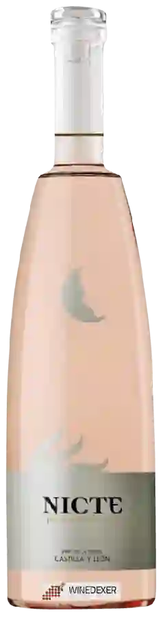 Winery Nicte - Petalos de Rosa Winery Nicte - Petalos de Rosa