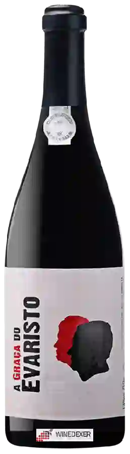 Winery Niepoort - A Graca Do Evaristo Winery Niepoort - A Graca Do Evaristo