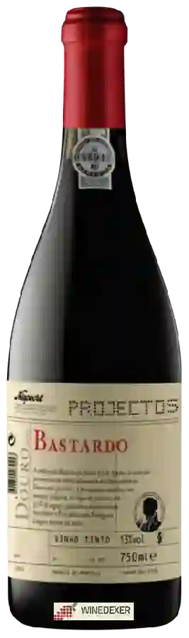 Winery Niepoort - Douro Bastardo Projectos
