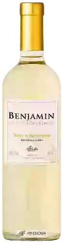 Winery Nieto Senetiner - Benjamin Suave & Refrescante Blanco