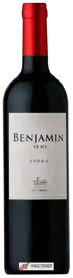 Winery Nieto Senetiner - Benjamin Syrah