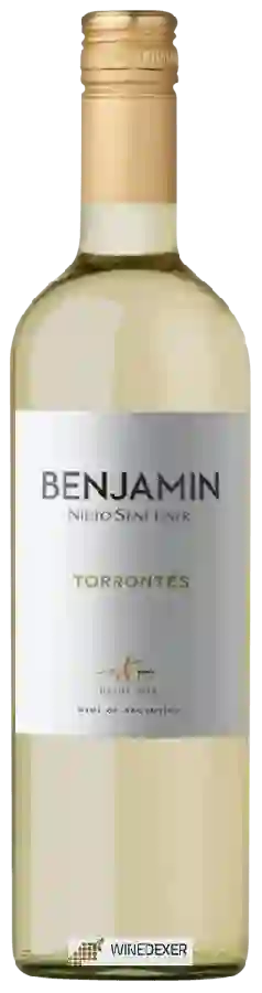 Winery Nieto Senetiner - Benjamin Torrontes Winery Nieto Senetiner - Benjamin Torrontes