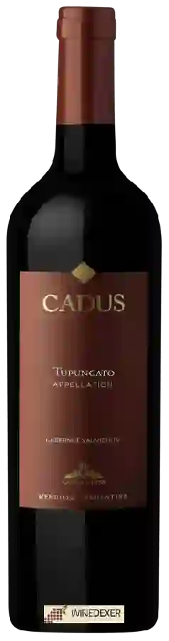 Winery Nieto Senetiner - Cadus Appellation Cabernet Sauvignon Winery Nieto Senetiner - Cadus Appellation Cabernet Sauvignon