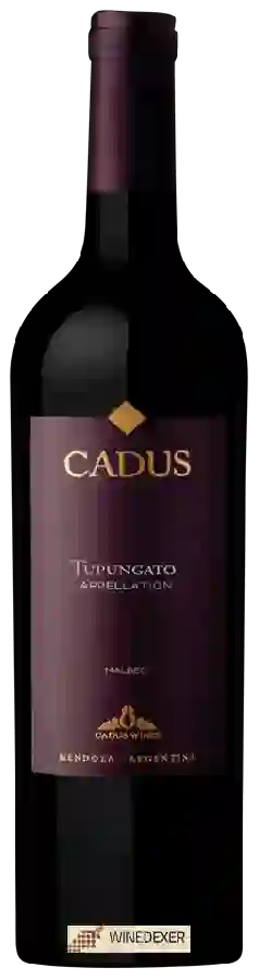 Winery Nieto Senetiner - Cadus Appellation Malbec Winery Nieto Senetiner - Cadus Appellation Malbec